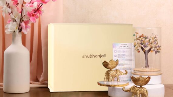 Divine Harmony Combo Set