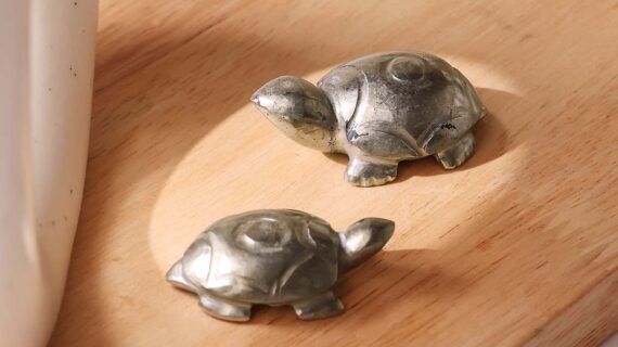 Pyrite Turtle