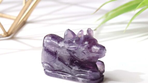 Amethyst Nandi