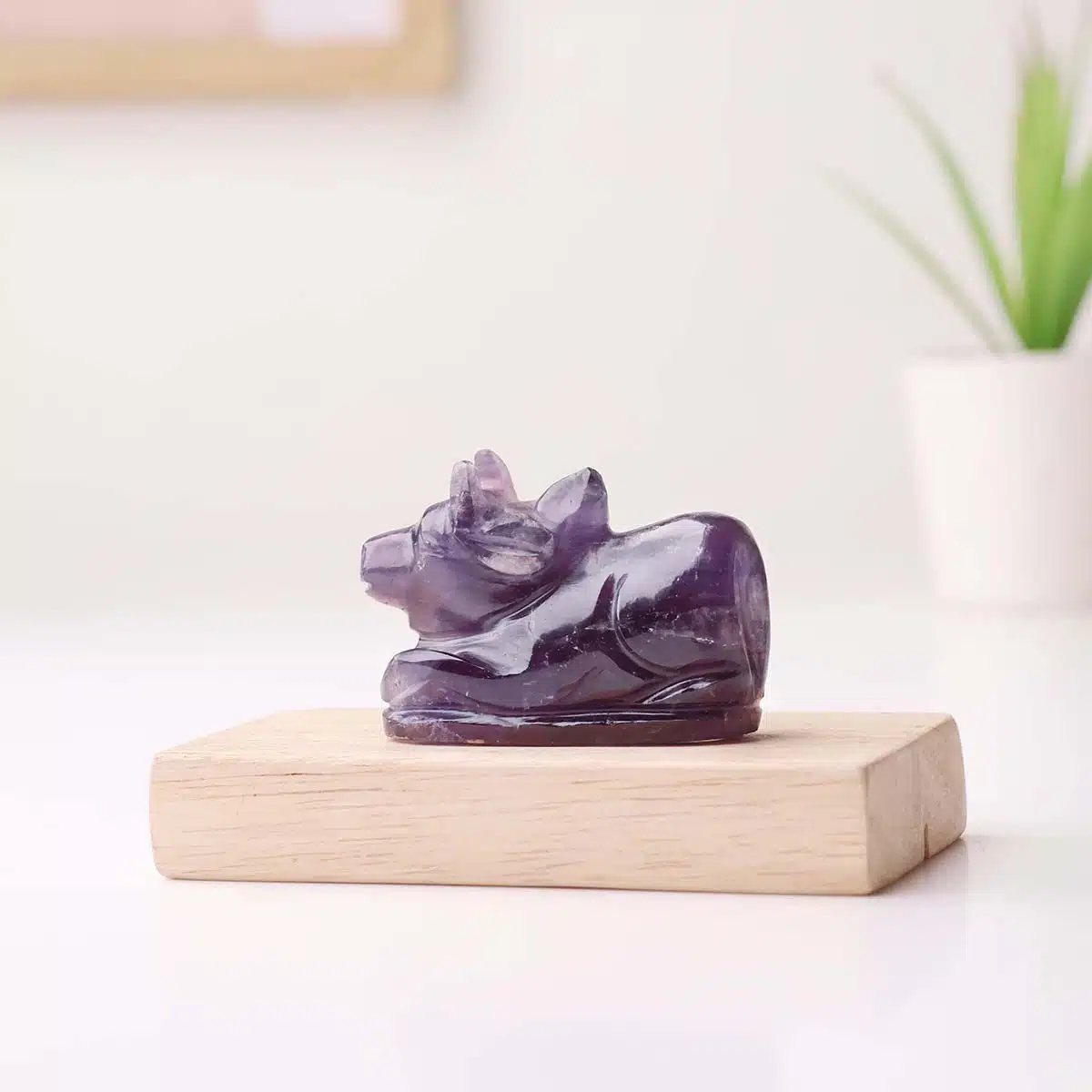 amethyst-nandi (2)