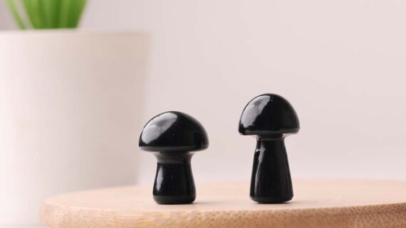 Black Tourmaline Mushroom