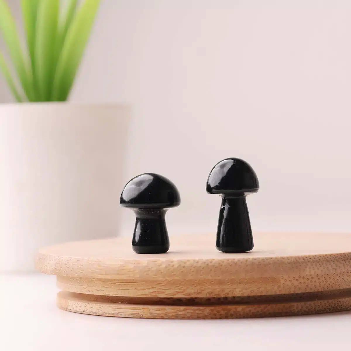 black-tourmaline-mushroom (1)