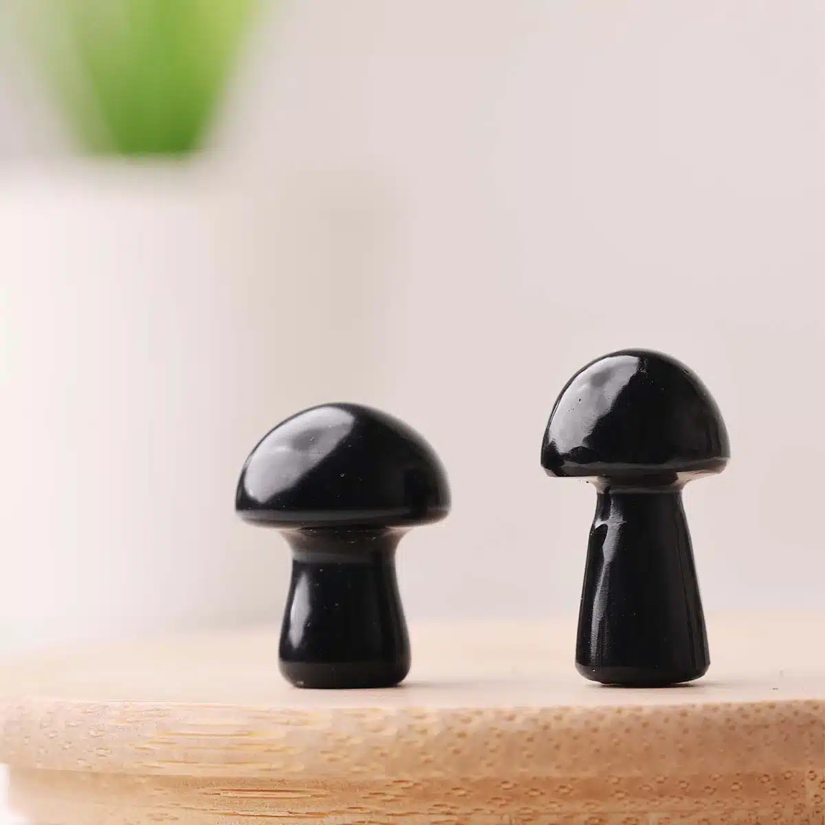 black-tourmaline-mushroom (3)