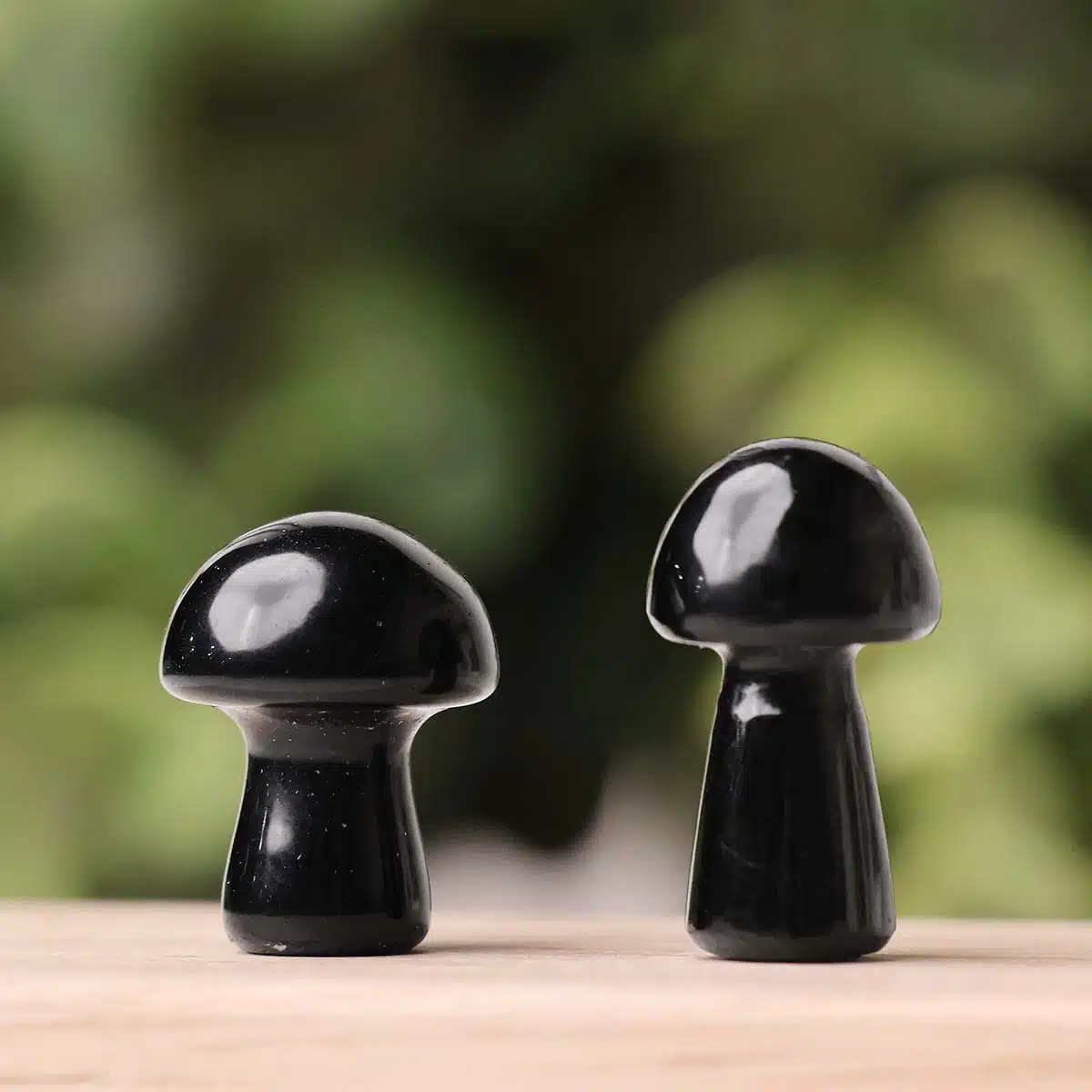 black-tourmaline-mushroom (7)