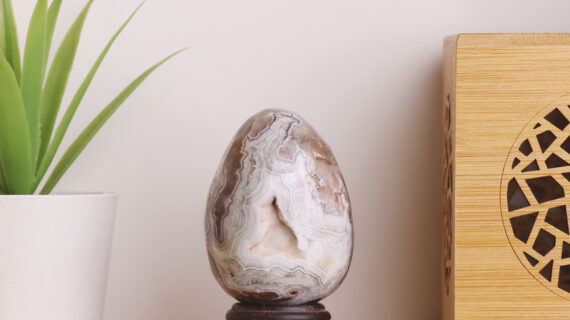 Crazy Lace Agate Egg