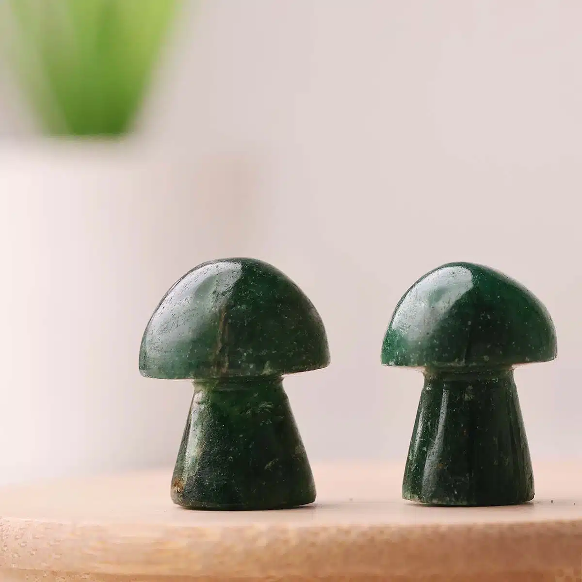 green-jade-mushroom (3)