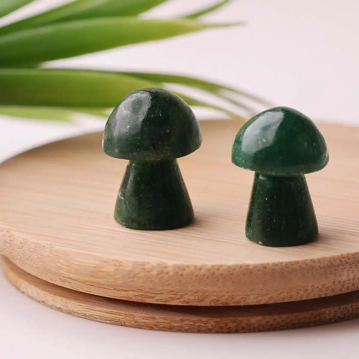 green-jade-mushroom (5)