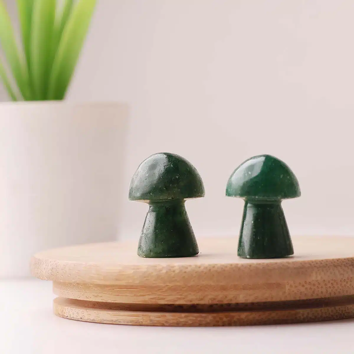 green-jade-mushroom (7)