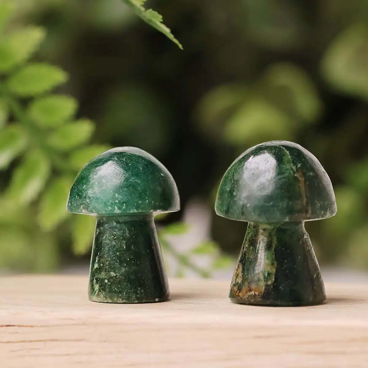 green-jade-mushroom (8)