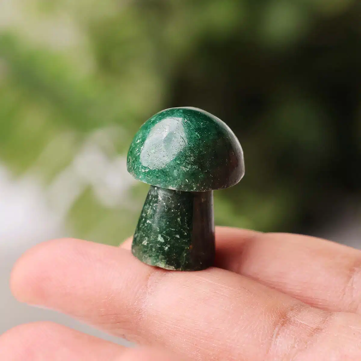 green-jade-mushroom (9)