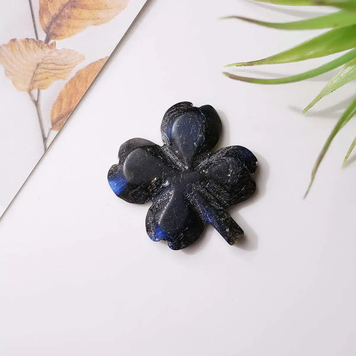 mixed-four-leaf-clovers (11)