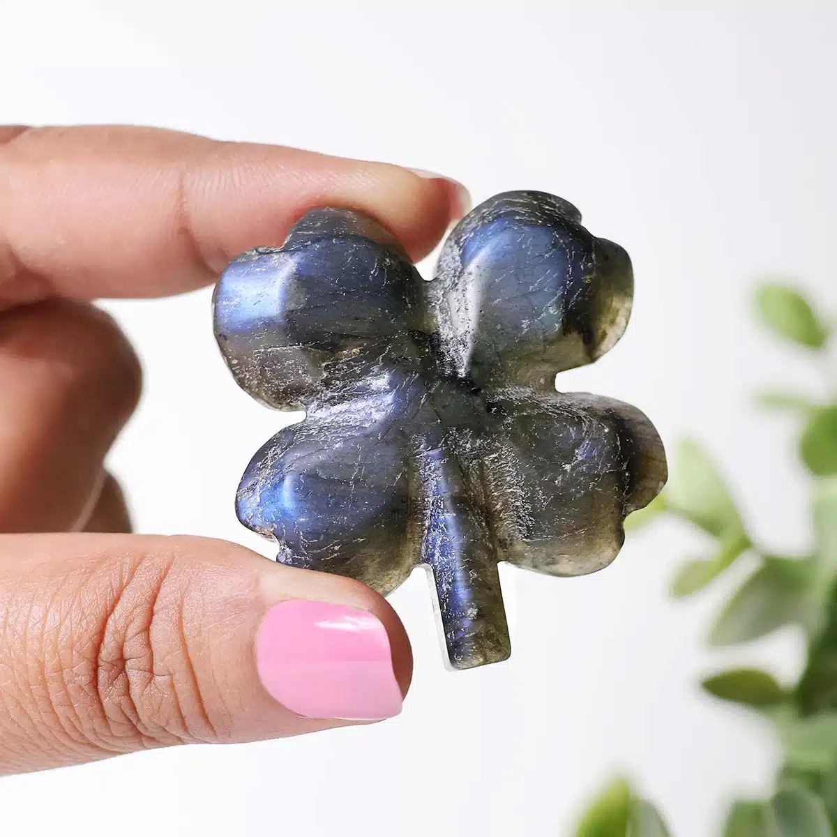 mixed-four-leaf-clovers (18)