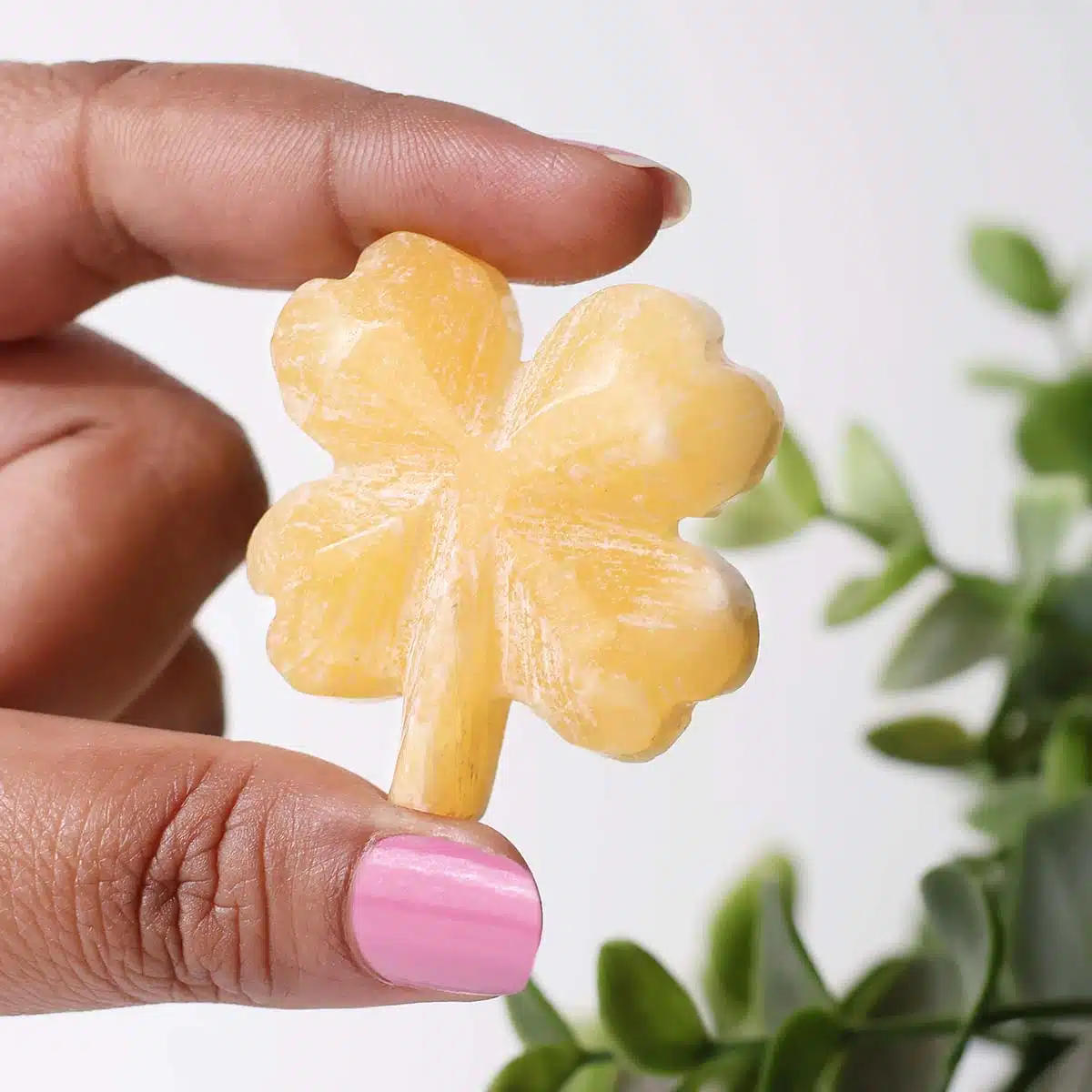 mixed-four-leaf-clovers (19)