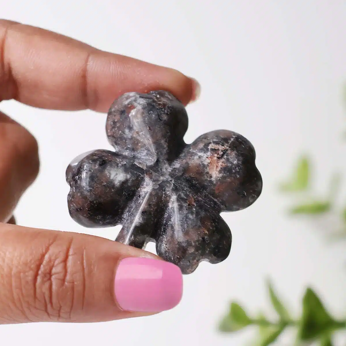 mixed-four-leaf-clovers (20)