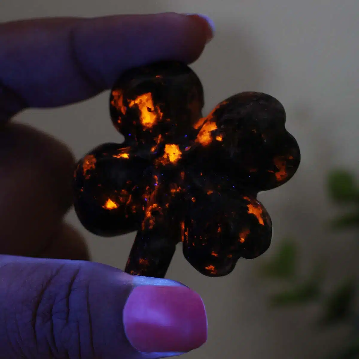 mixed-four-leaf-clovers (21)