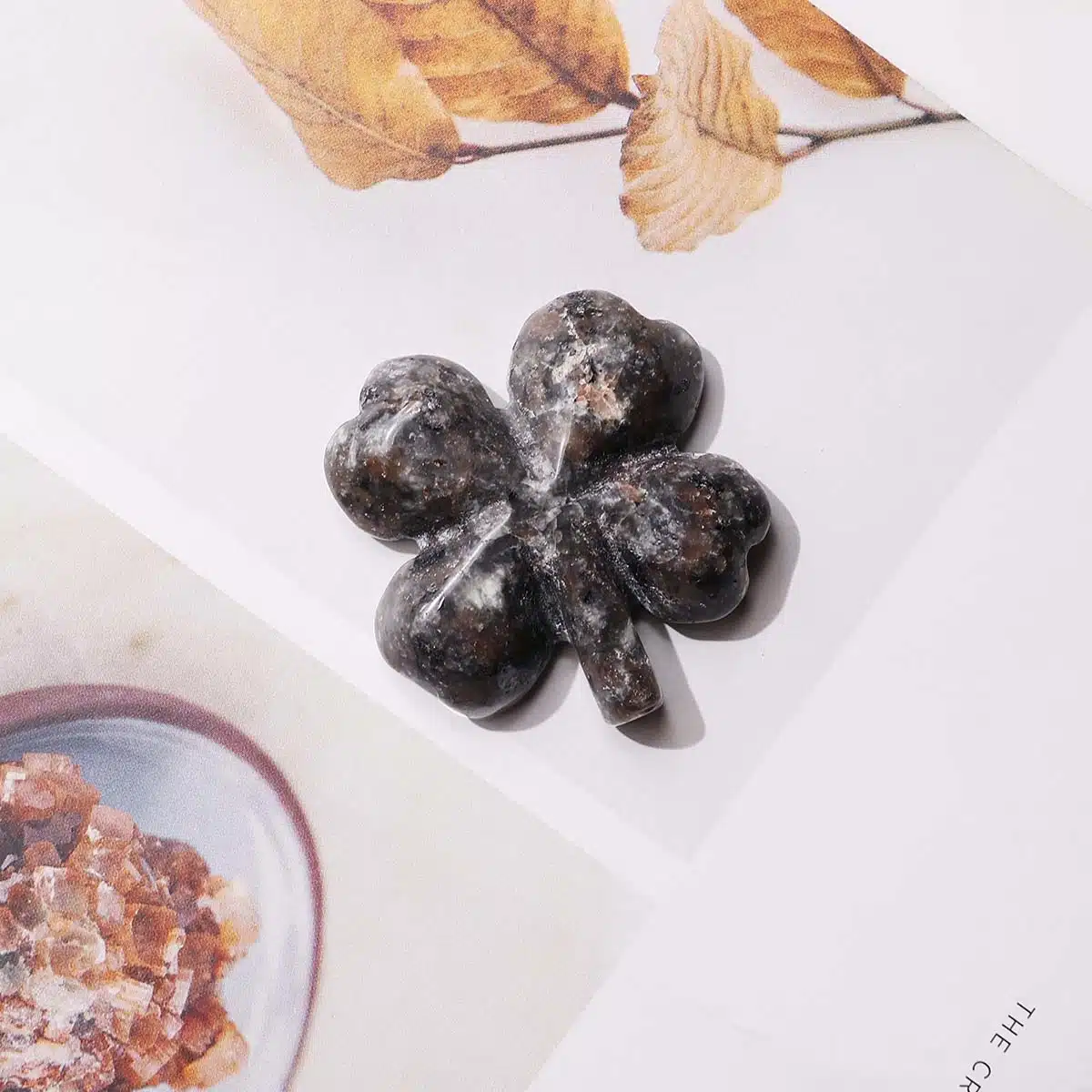 mixed-four-leaf-clovers (6)