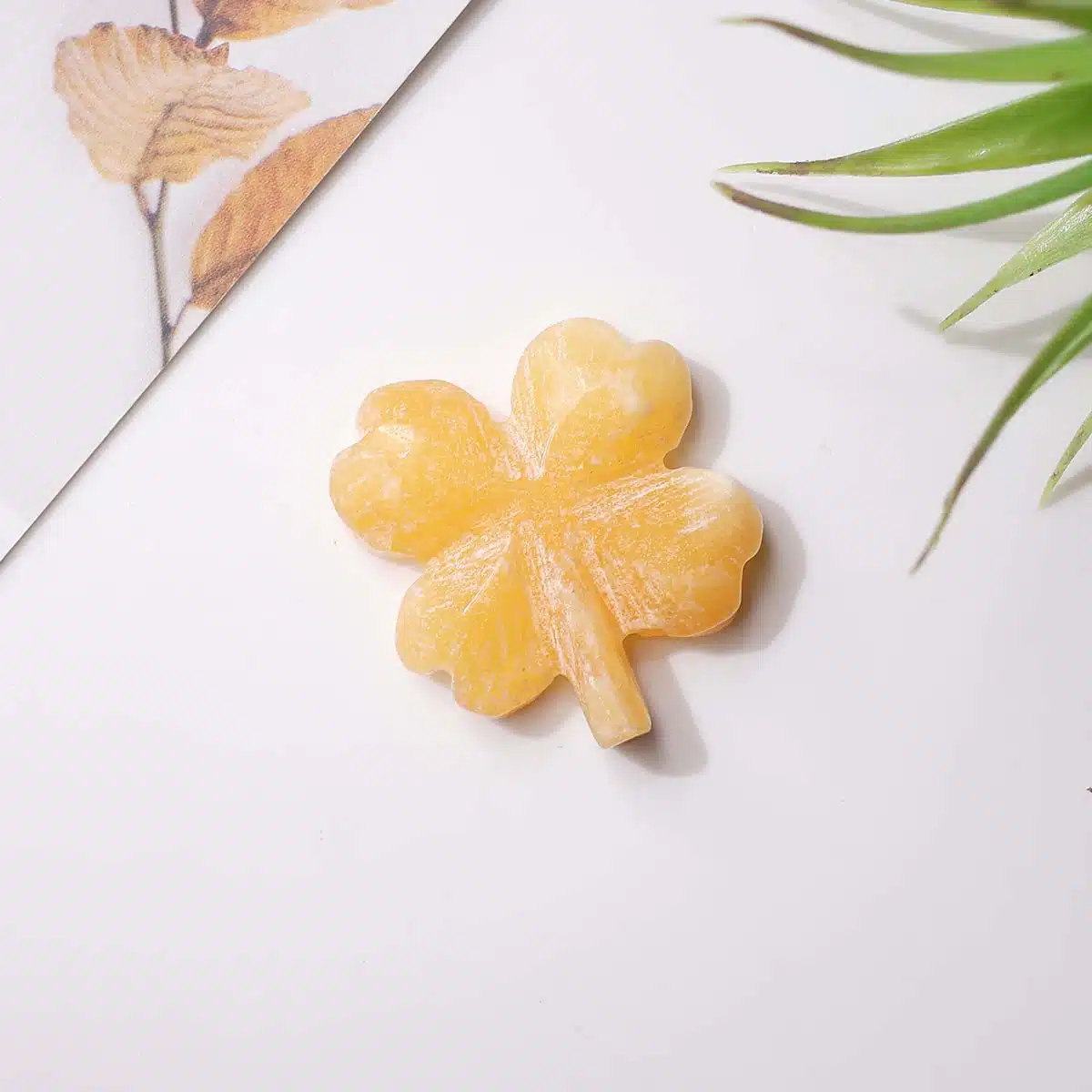 mixed-four-leaf-clovers (8)