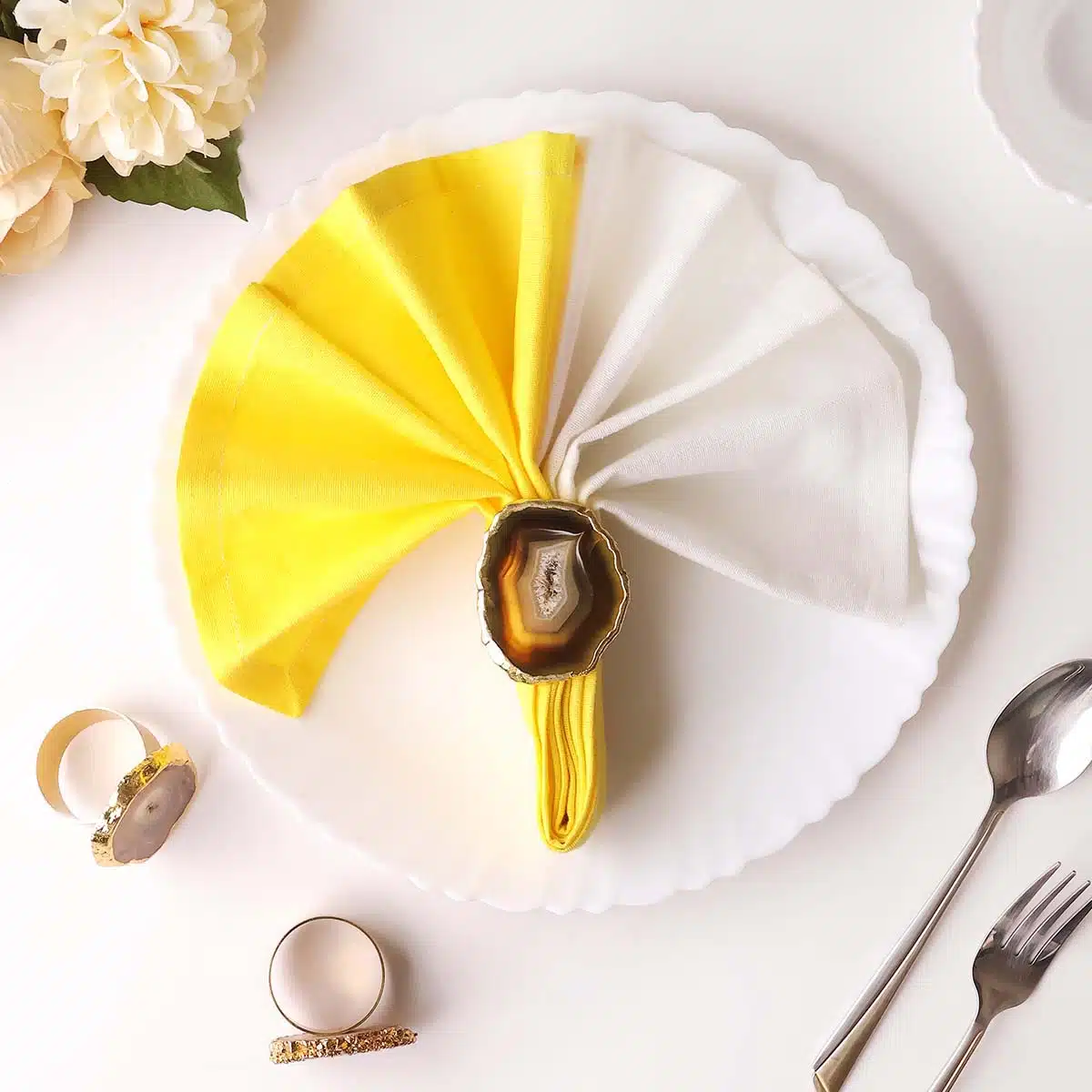 brown-agate-napkin-holder (1)