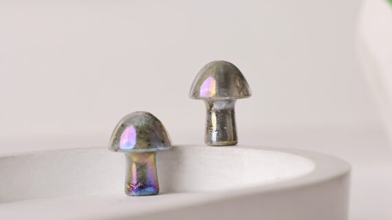 Labradorite Aura Mushroom