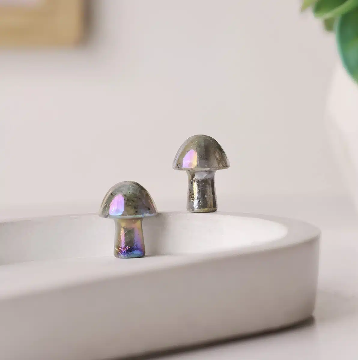 labradorite-aura-mushroom (1)