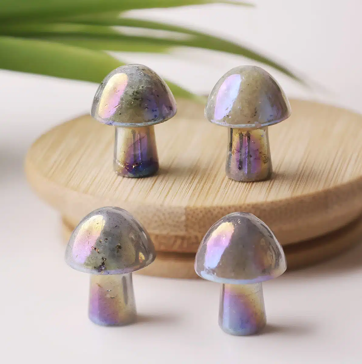 labradorite-aura-mushroom (2)