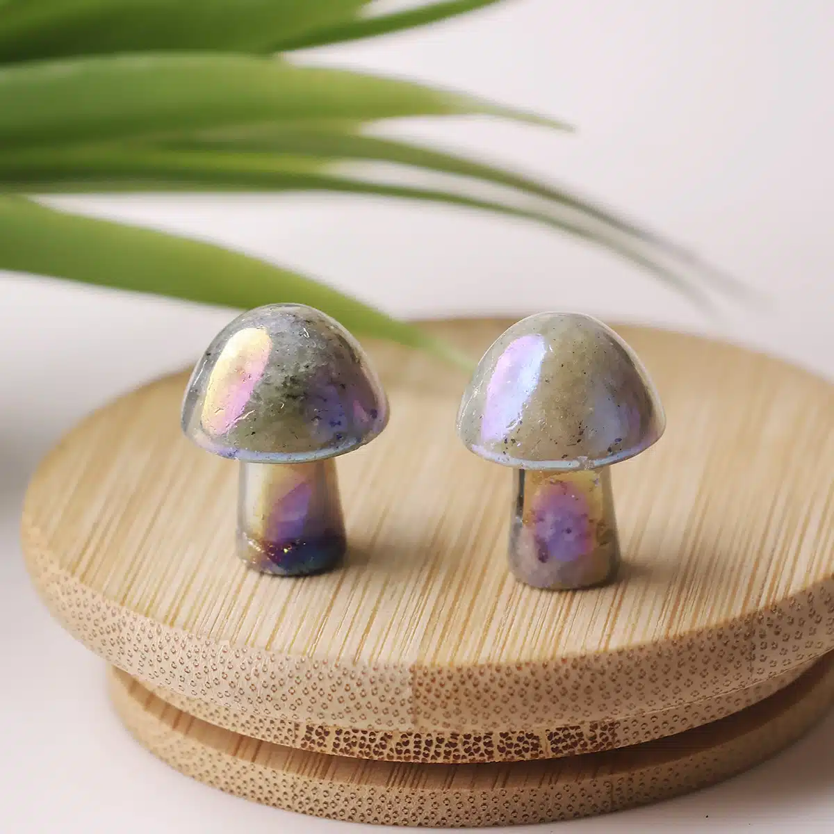 labradorite-aura-mushroom (3)