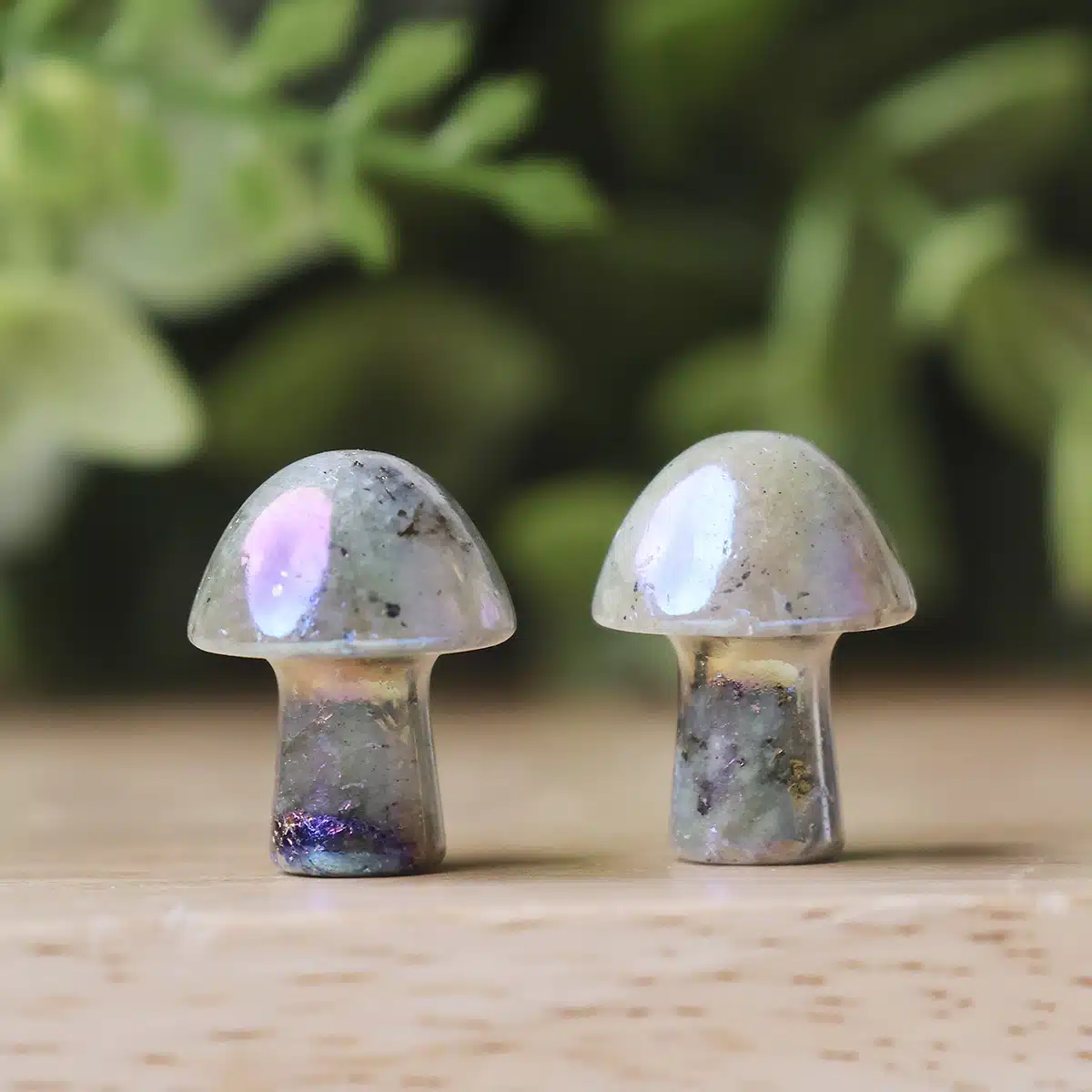 labradorite-aura-mushroom (4)