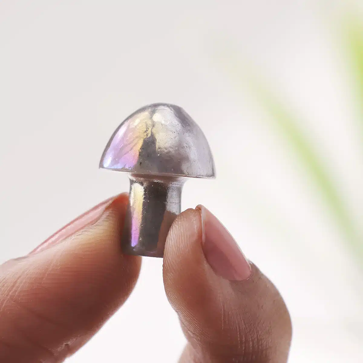 labradorite-aura-mushroom (9)