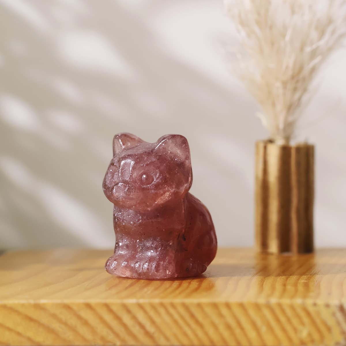 mixed-sitting-cat (1)