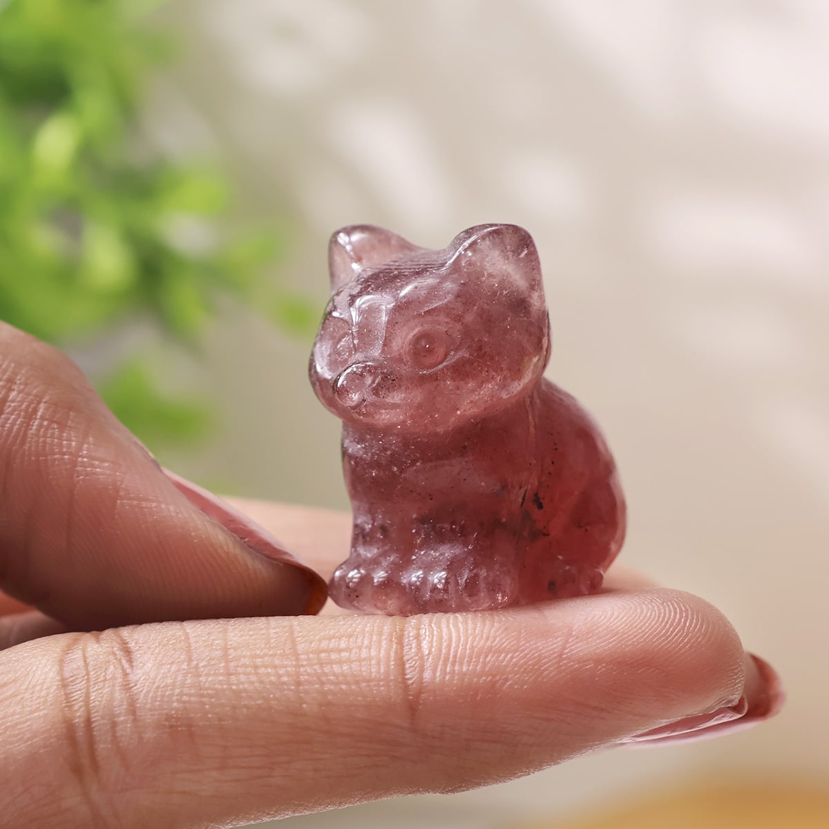 mixed-sitting-cat (10)