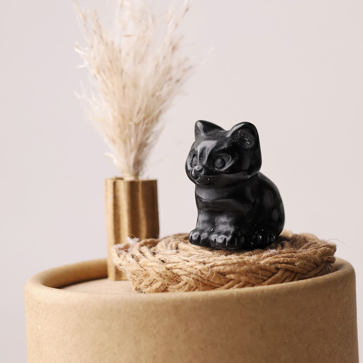 mixed-sitting-cat (11)