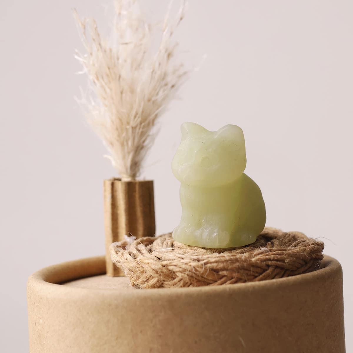 mixed-sitting-cat (12)