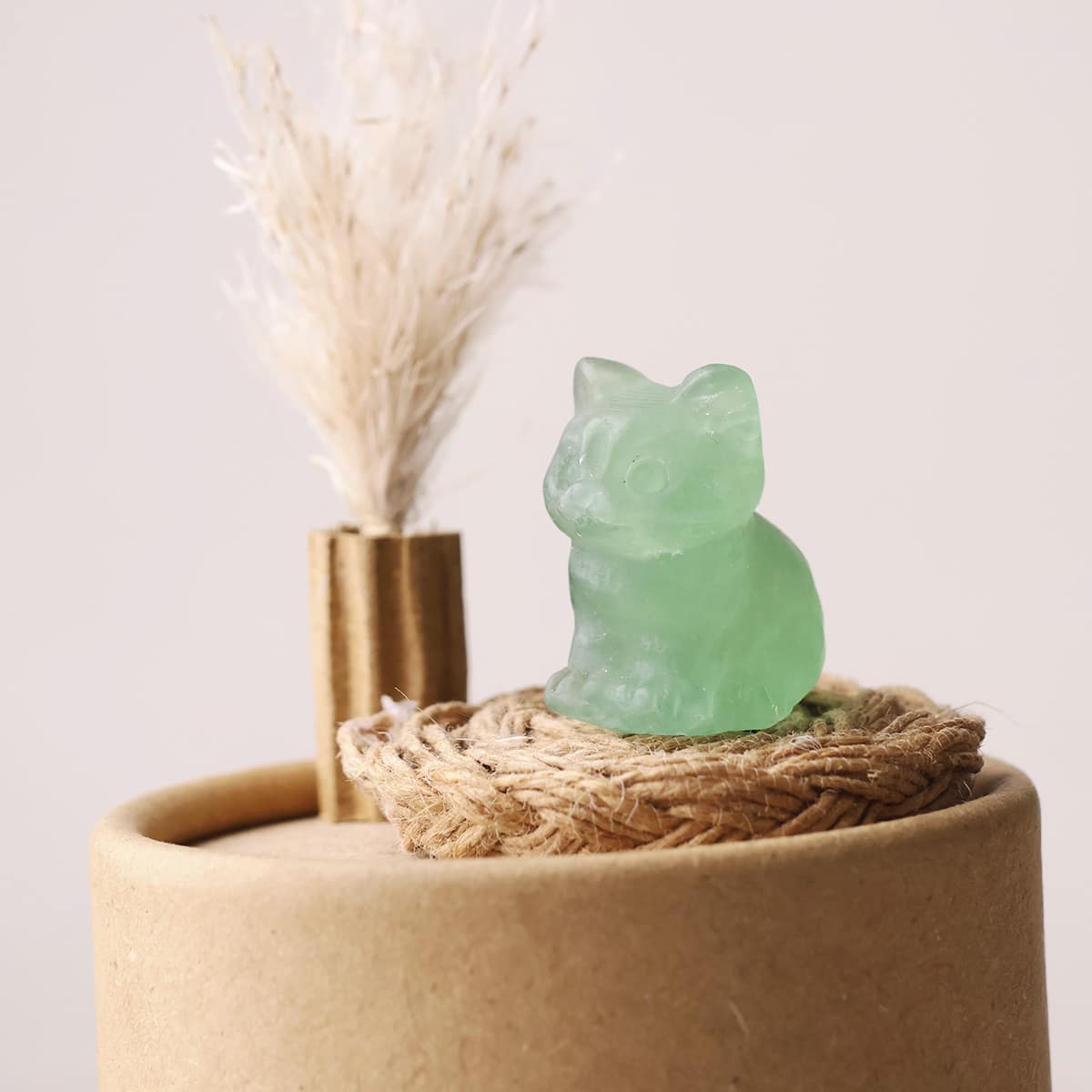 mixed-sitting-cat (13)