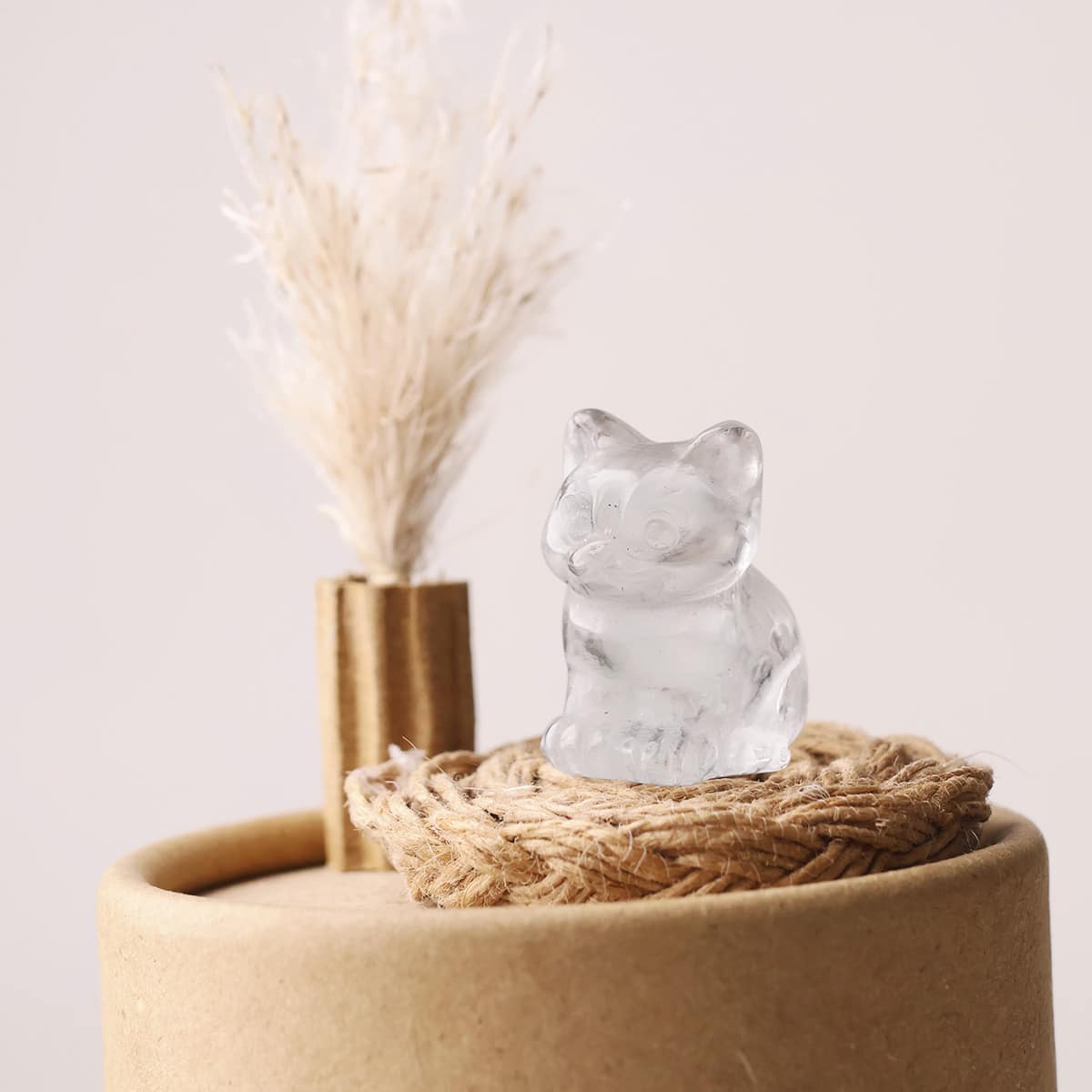 mixed-sitting-cat (14)