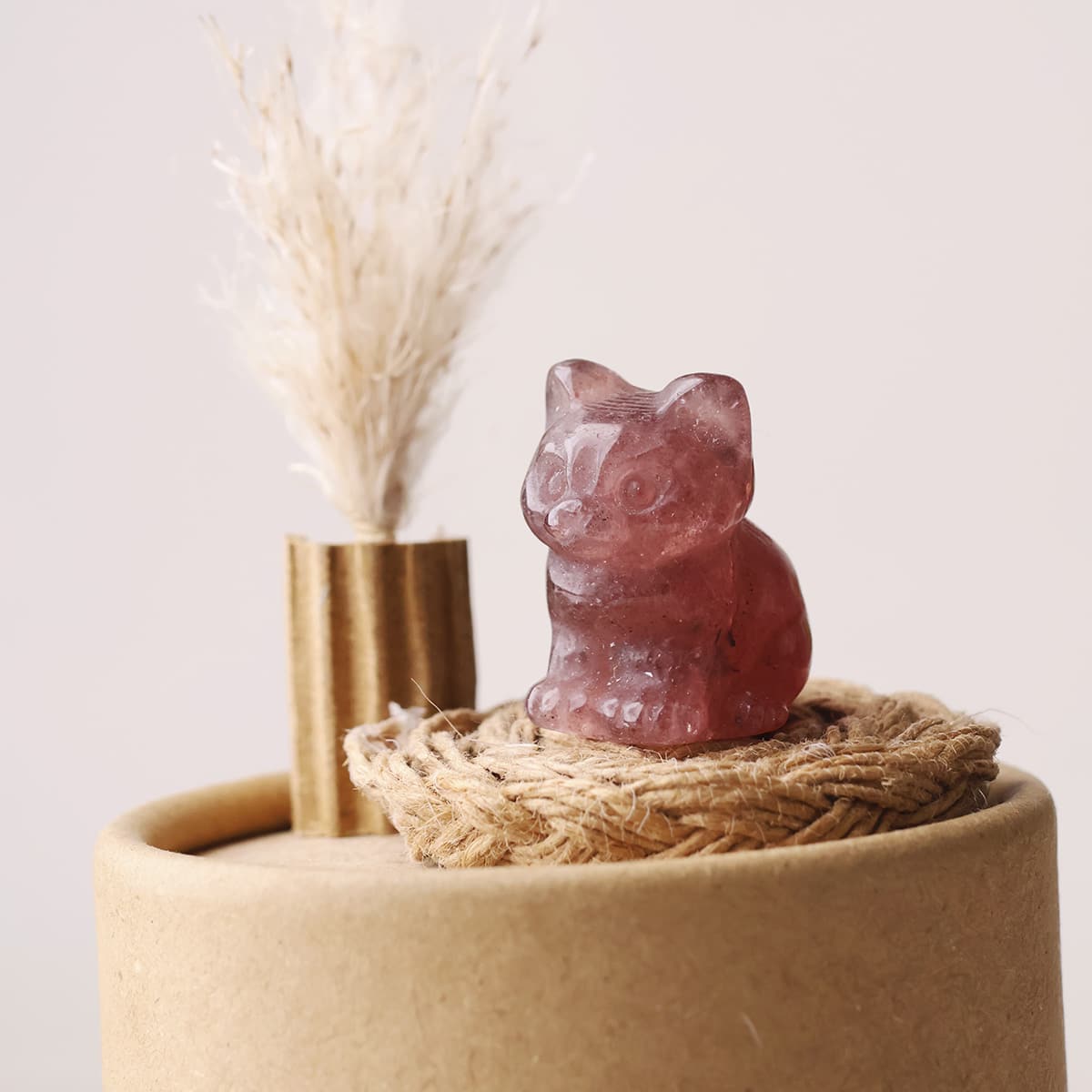 mixed-sitting-cat (15)