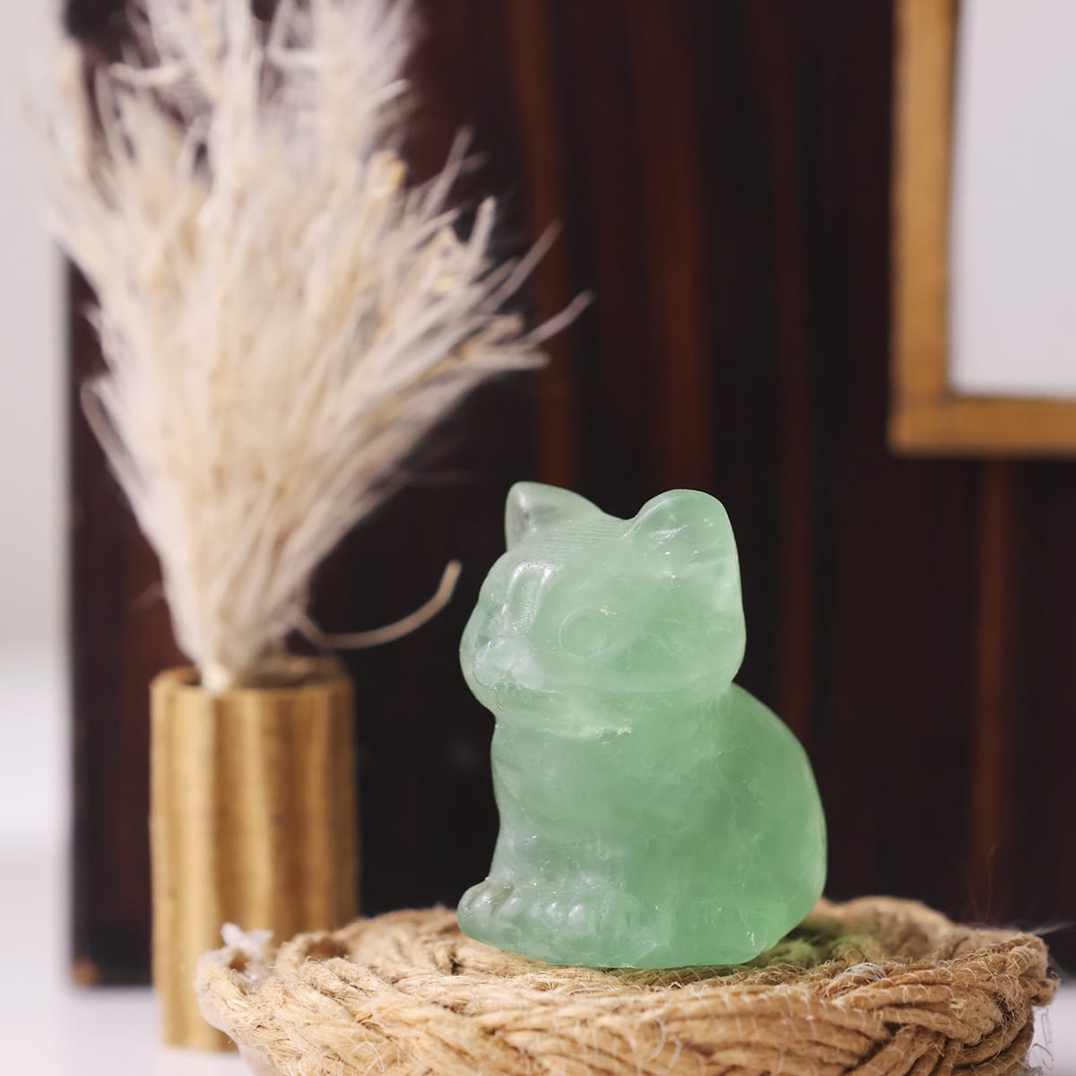 mixed-sitting-cat (16)