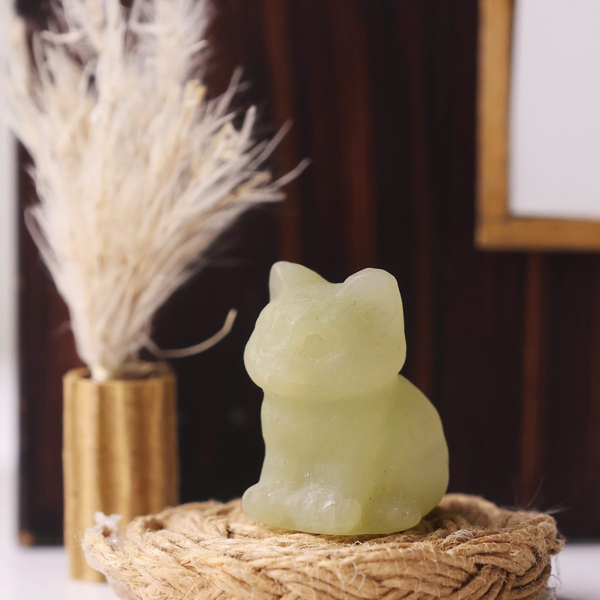 mixed-sitting-cat (18)