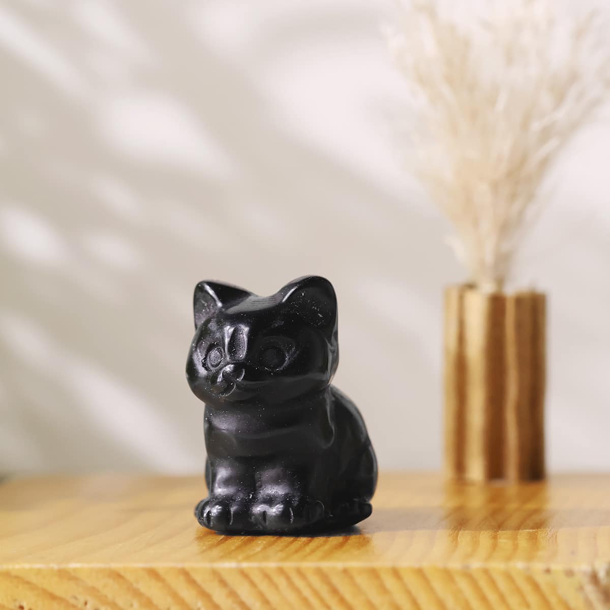 mixed-sitting-cat (2)