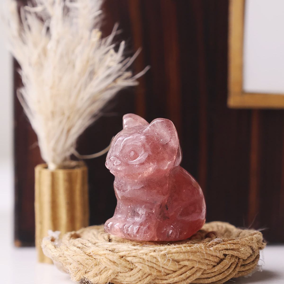 mixed-sitting-cat (20)