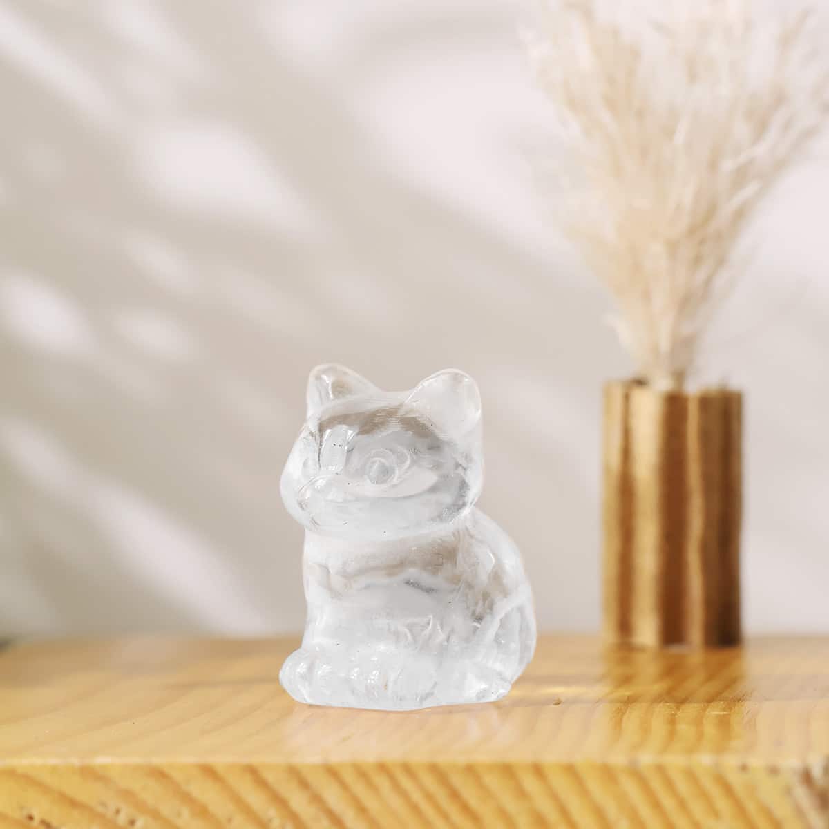 mixed-sitting-cat (3)