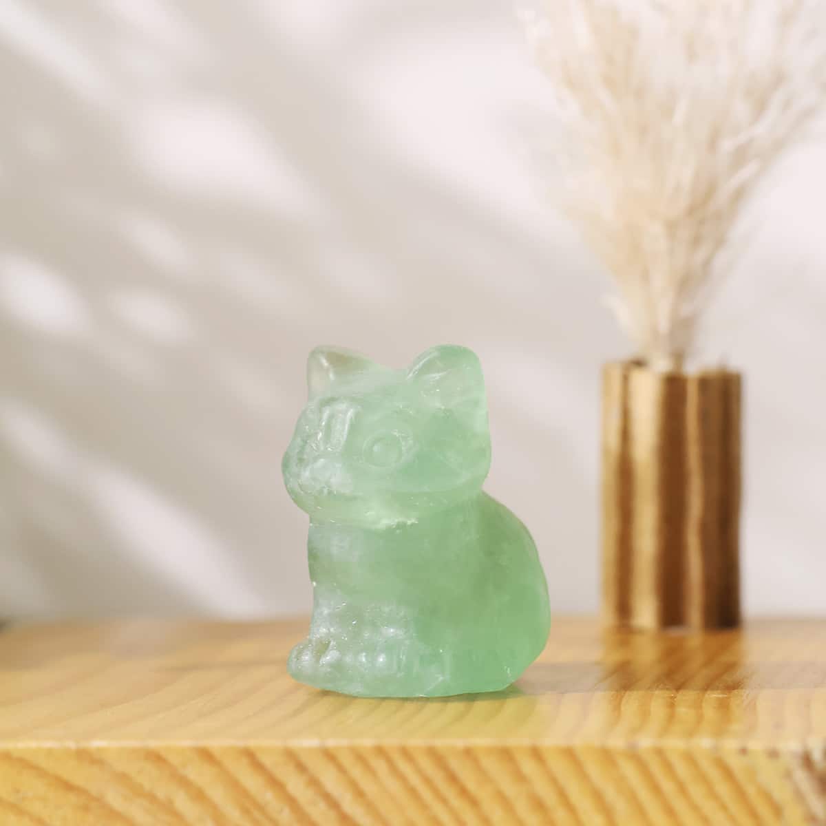 mixed-sitting-cat (4)