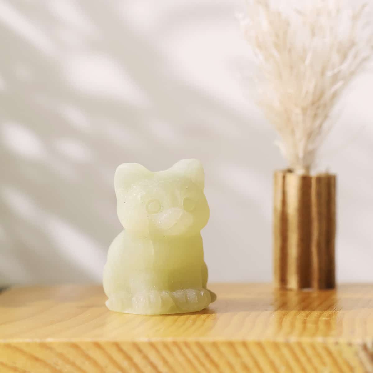 mixed-sitting-cat (5)