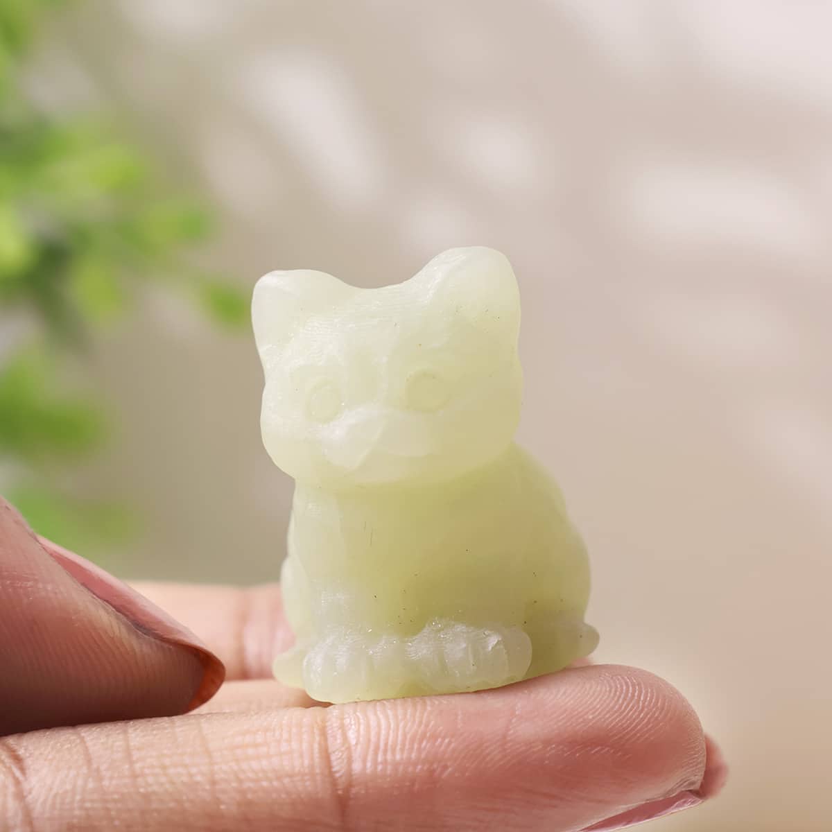 mixed-sitting-cat (6)