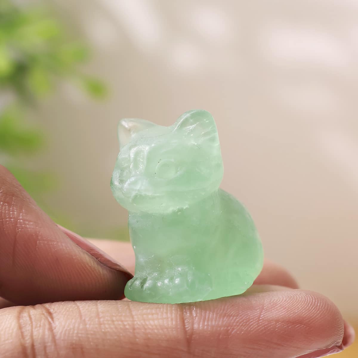 mixed-sitting-cat (7)