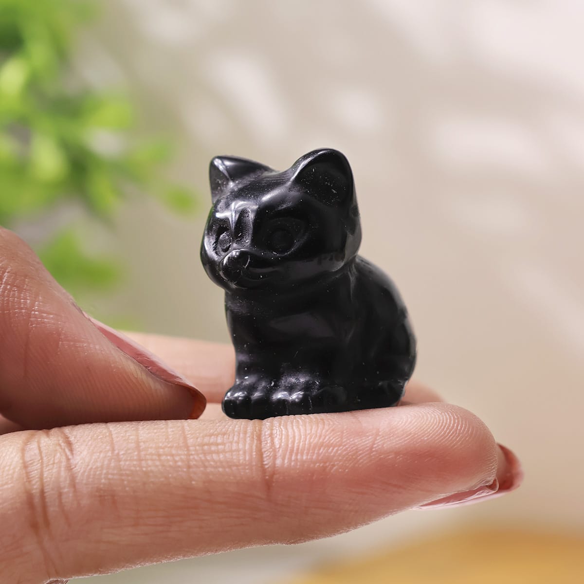 mixed-sitting-cat (9)