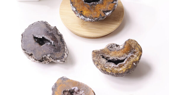 Las Choyas Coconut Geode