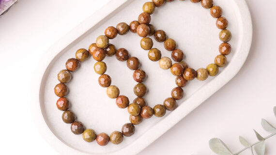 Petrified Wood Faceted Bracelet