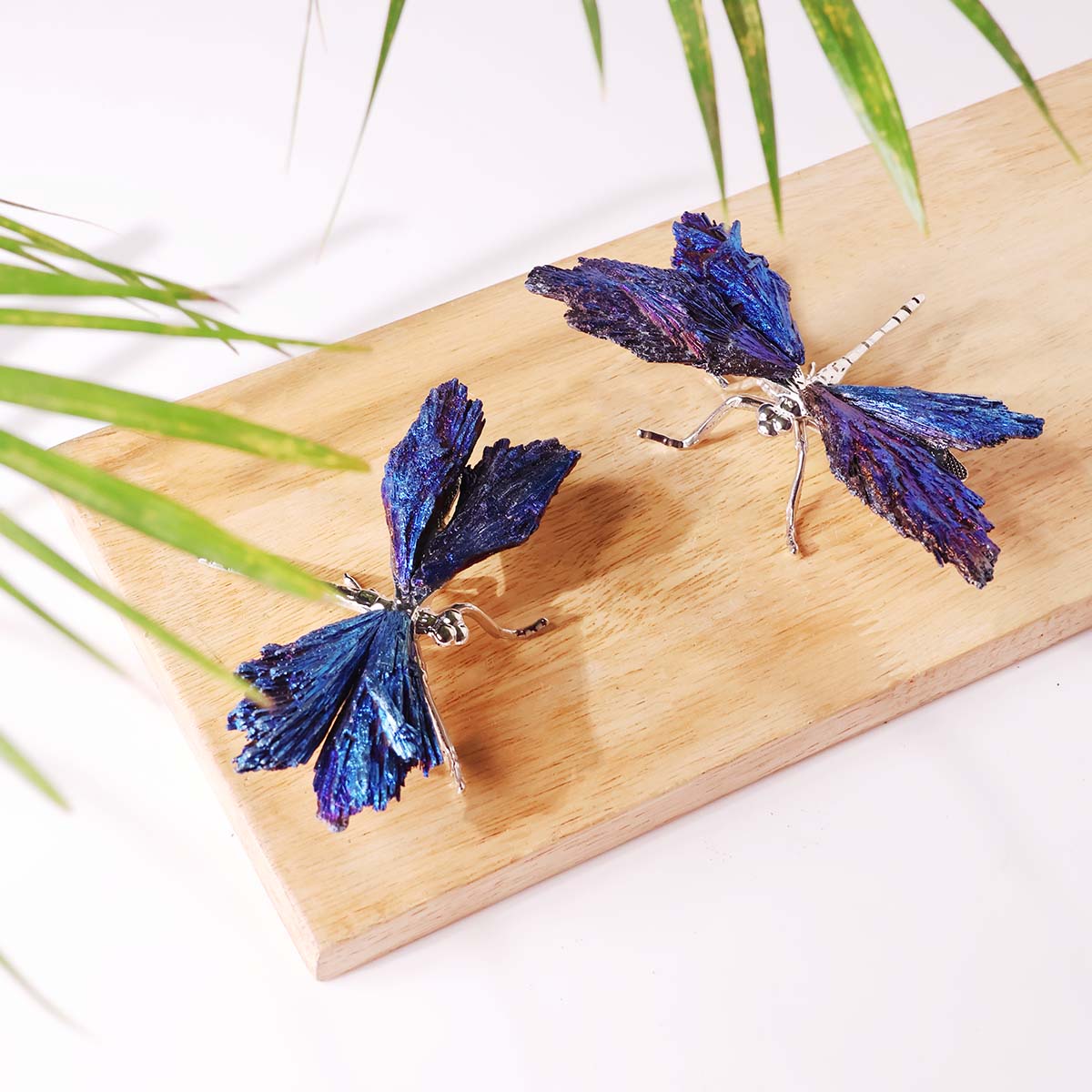 Black Kyanite Aura Draganfly (5)