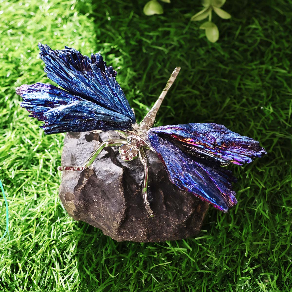 Black Kyanite Aura Draganfly (7)