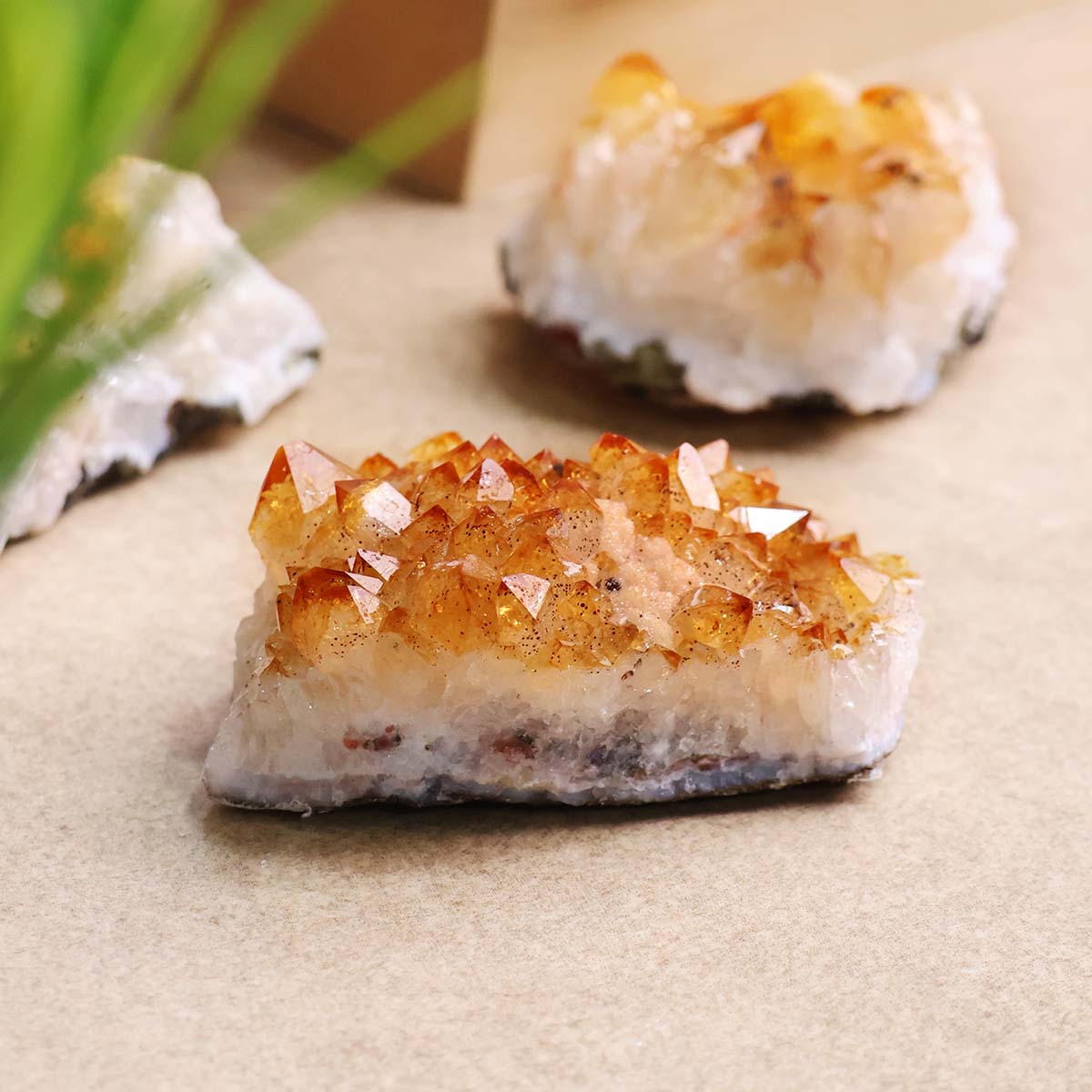 Citrine Cluster Small Point (6)